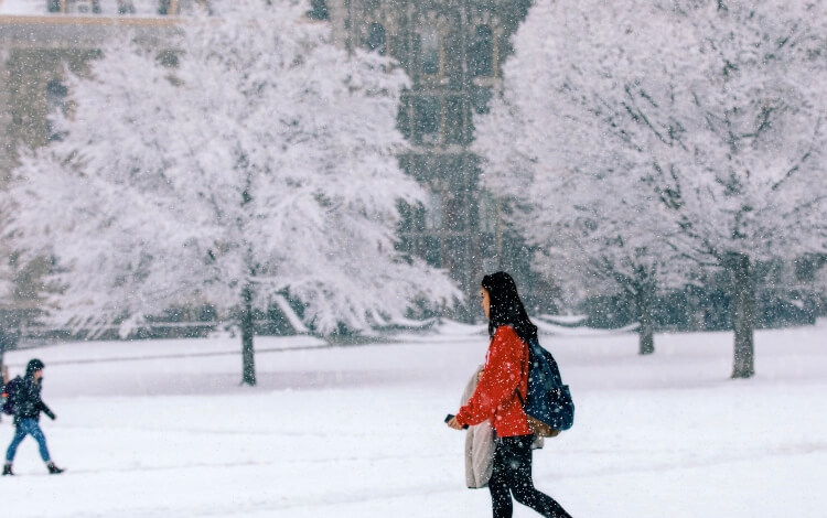 Cornell University's College of Business