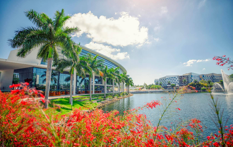 Miami Herbert is one of the best business schools in Florida