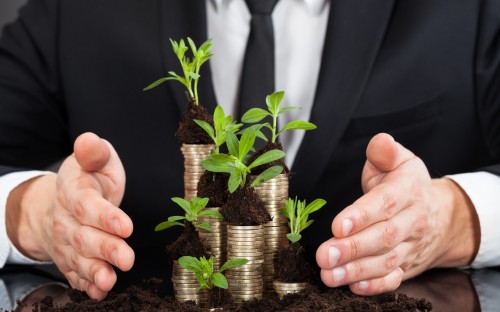 Growing your own consulting firm can pay dividends. (© apops - Fotolia.com).