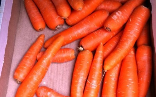 Hey Scandinavians, carrots are good for you