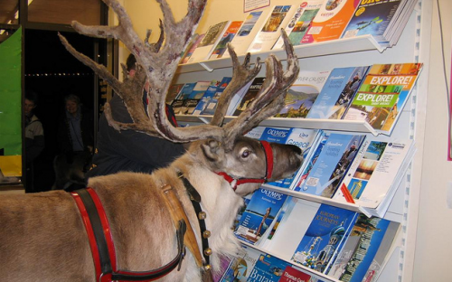 Reindeers find it difficult to write cover letters