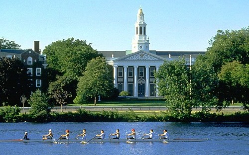 Harvard treasure seekers ran around the campus