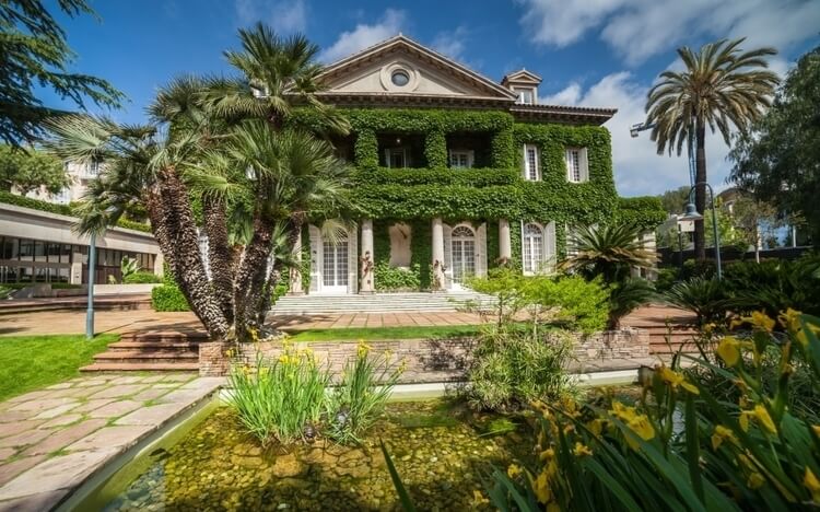 Most Popular Business Schools On Twitter - IESE