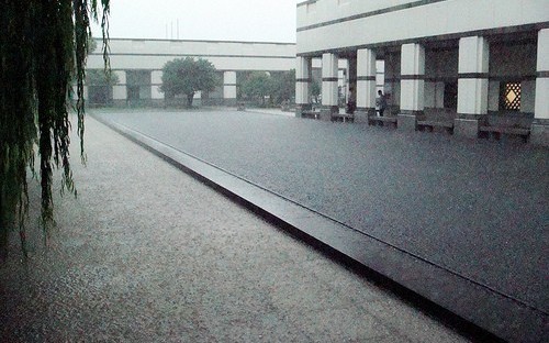 CEIBS in the rain