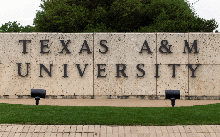 Mays Business School at Texas A&M is pioneering a US Masters in Management © wellesenterprises