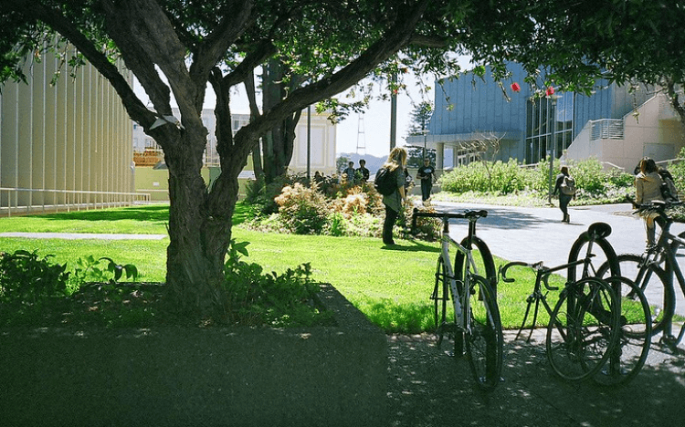 San Francisco is an attractive career hub for business school students and budding CEOs ©Michael Fraley via Flickr 