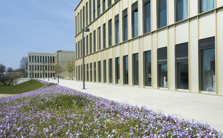 FT EMBA Ranking: HEC Paris offers the best Executive MBA (EMBA) program in the world according to the Financial Times ©HECParis Facebook