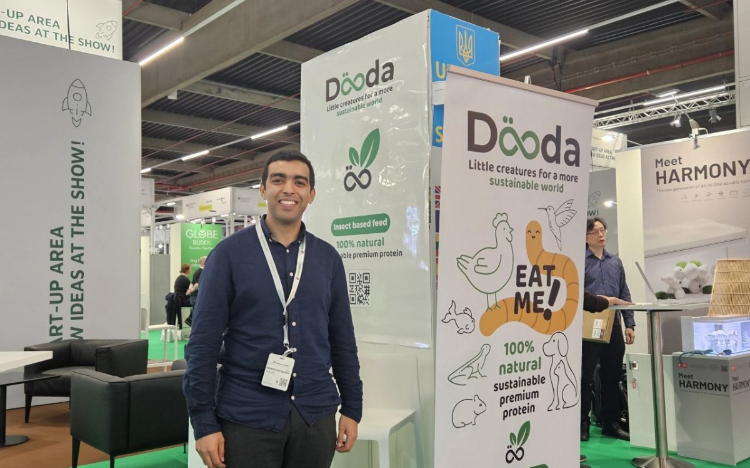 Dooda makes animal feed from mealworms