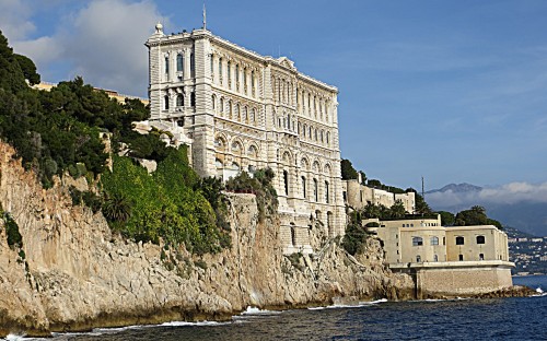 The International University of Monaco works closely with the principality's Oceanographic Museum