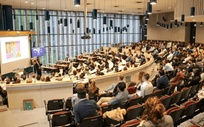 insead mim