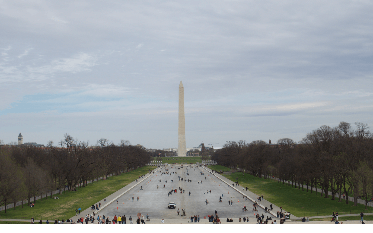 Washington DC is full of art, history, a vibrant culture, and a world-renowned business school