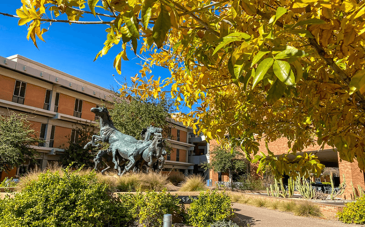 Full-time MBA grads from the W. P. Carey School of Business at ASU earn $146,700 on average post-graduation | Image © Kevin Dooley on Flickr