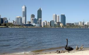 The University of Western Australia sits on the banks of Perth's Swan River