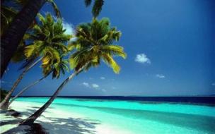 Will their predictions for MBA trends in 2012 become a reality?