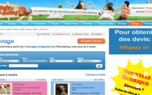 His friends joked about Match.com for pets, but IPAG MBA Matthieu Mennessier saw the potential and got it done