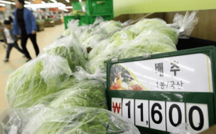 Cabbage Hits W11,000 Per Head (About $10 US)