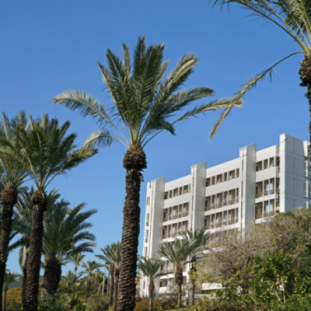 Tel Aviv University - Coller School of Management hubpage picture