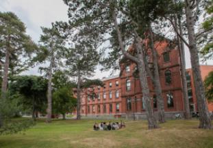 University College Dublin - Michael Smurfit Graduate Business School hubpage picture